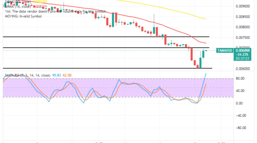 Tamadoge (TAMA/USD) Price Finds Support, Makes a Spring
