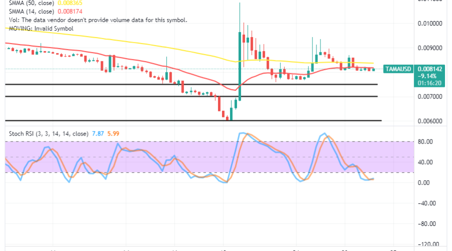 Tamadoge (TAMA/USD) Market Raises Base, Connotes Hikes