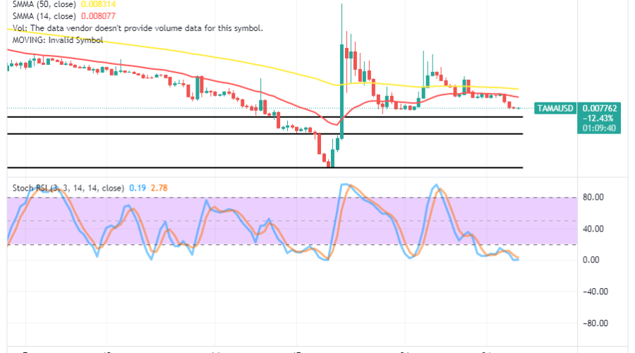 Tamadoge (TAMA/USD) Trade Overturns Base, Setting for Rises