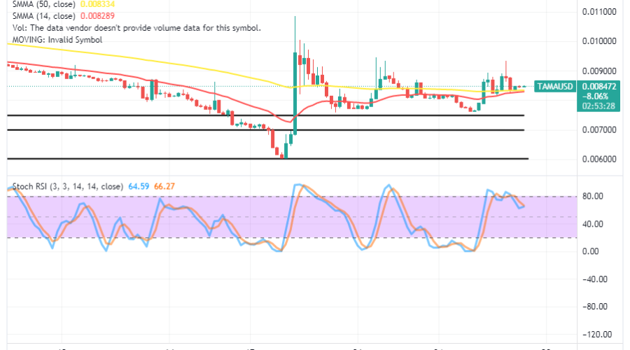 Tamadoge (TAMA/USD) Price Is Receding, Making a Rise