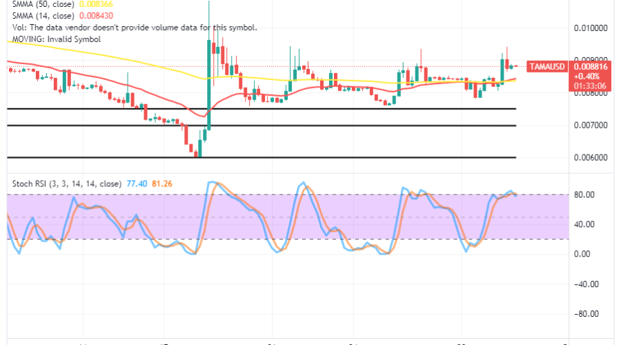Tamadoge (TAMA/USD) Trade Is in Ranges, Keeping Spiking Indexes