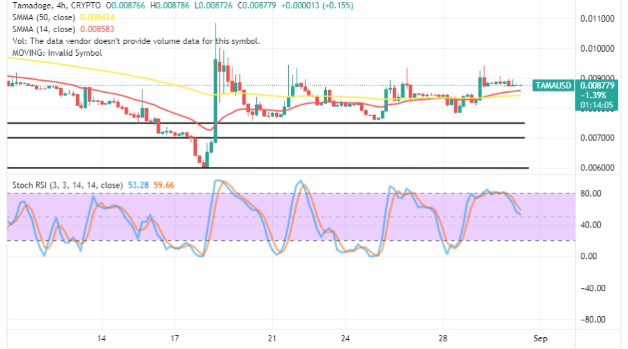 Tamadoge (TAMA/USD) Market Bulls Are On, Wearing Strength