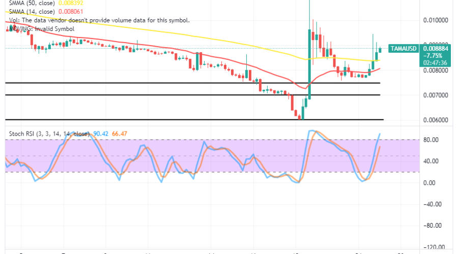 Tamadoge (TAMA/USD) Market Regains Stances, Pushing High