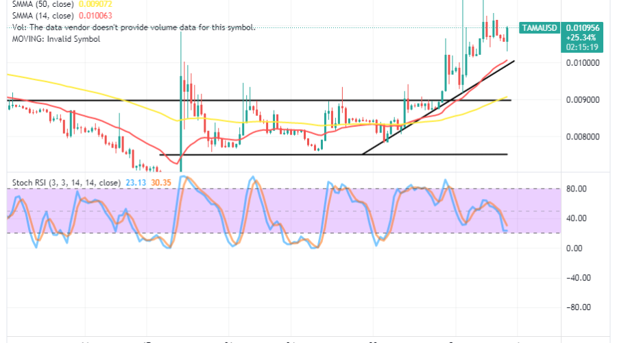 TAMA/USD, Tamadoge, TAMA, Technical Analysis