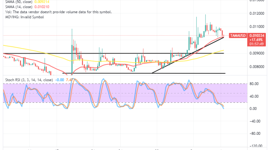 Tamadoge (TAMA/USD) Trade Is Hiking, Finding a Base