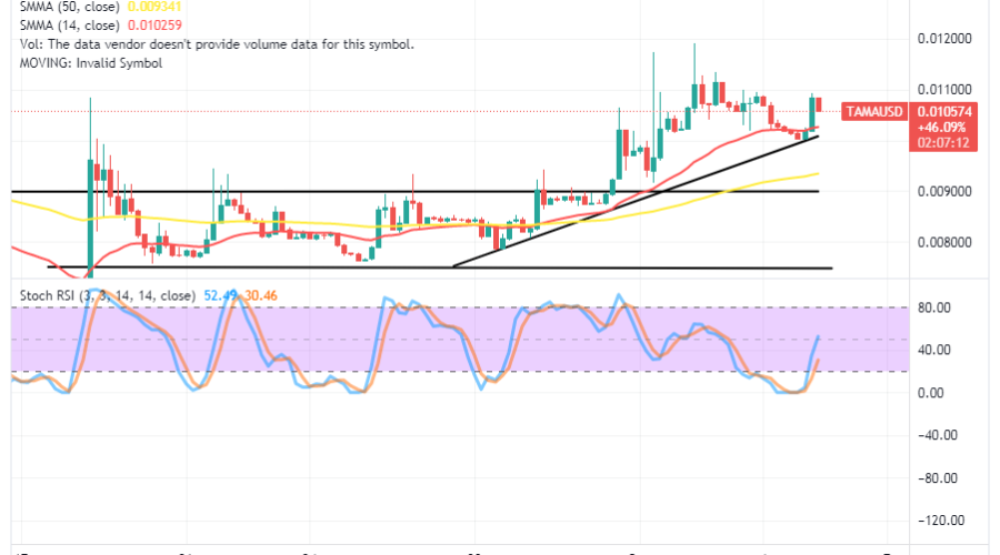 Tamadoge (TAMA/USD) Market Tests $0.010, Spiraling to $0.011