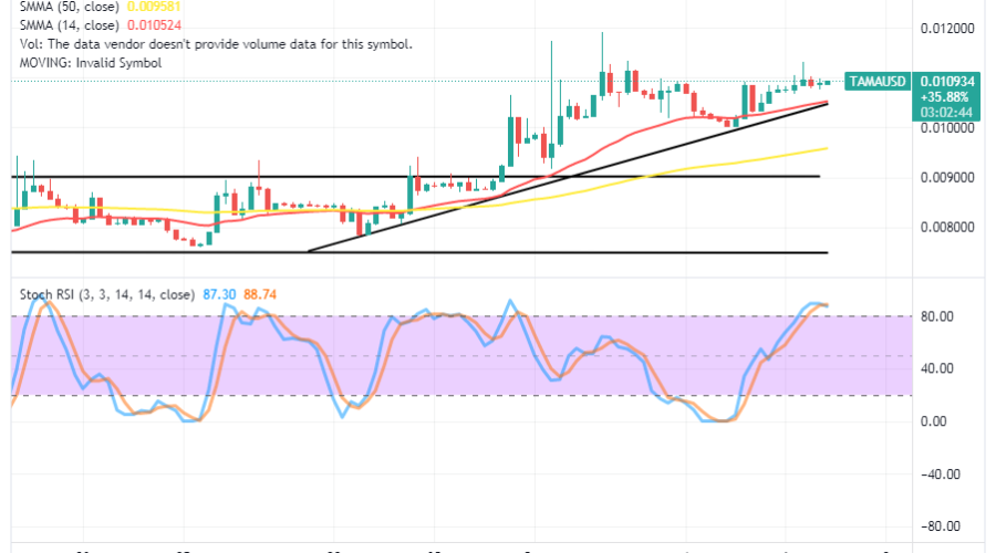 Tamadoge (TAMA/USD) Trade Is Hiking, Pushing Above SMAs