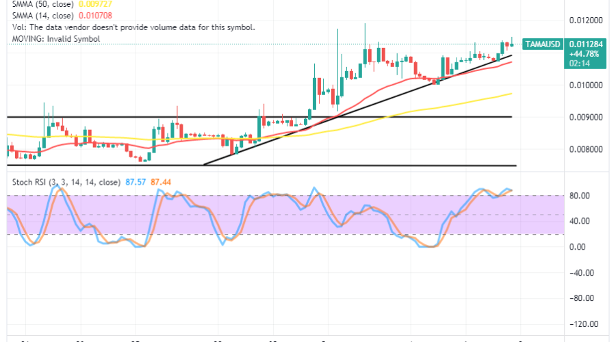 Tamadoge (TAMA/USD) Price Holds Rises, Keeping Bull Safe