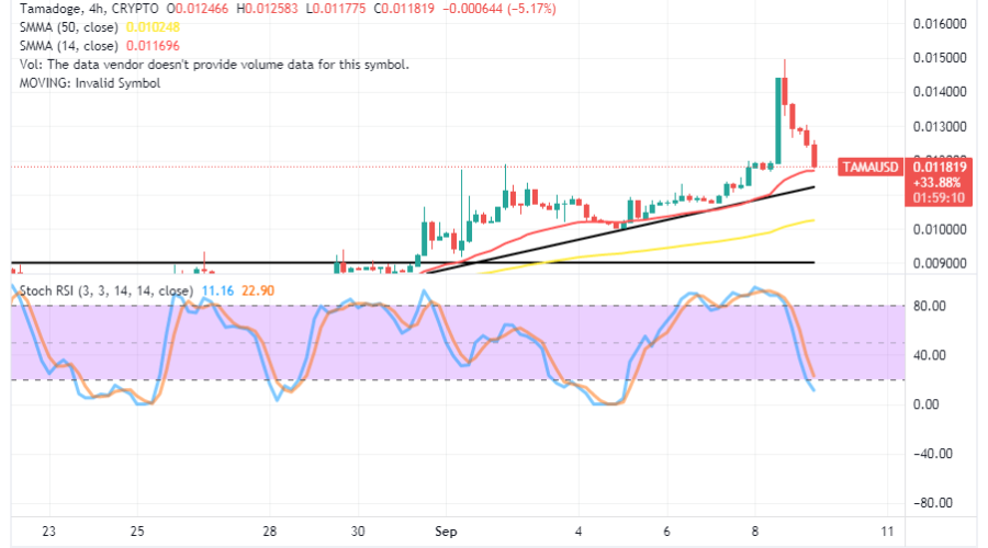Tamadoge (TAMA/USD) Market Hits Resistance, Gaining Energy