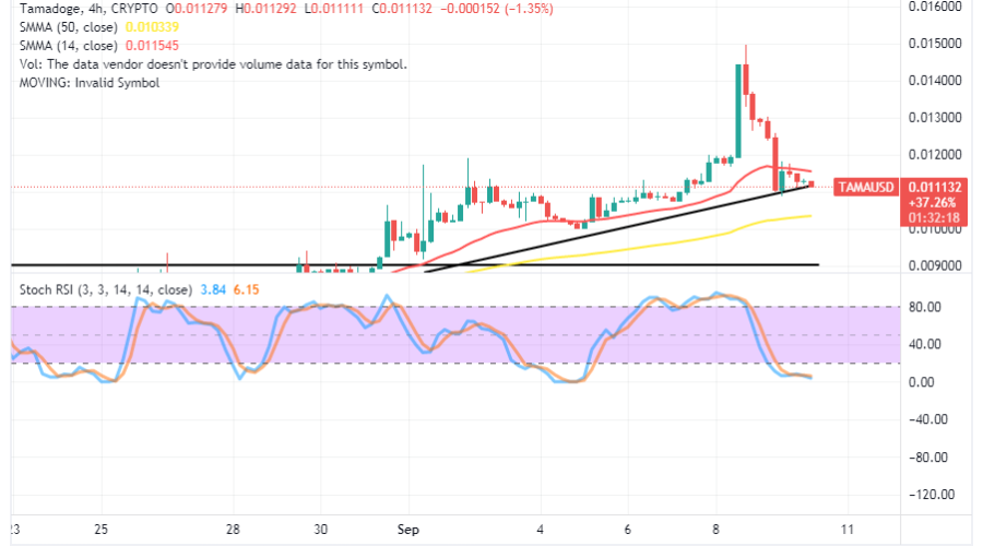 Tamadoge (TAMA/USD) Trade Sets on $0.011, Eyeing a Hike