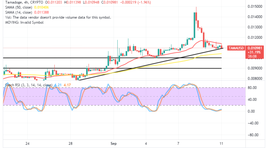 Tamadoge (TAMA/USD) Price Hovers at $0.011, Ideating a Bounce