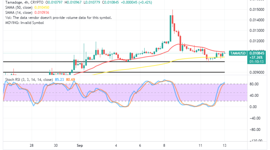 Tamadoge (TAMA/USD) Market Springs Up, Reverting to a Pause