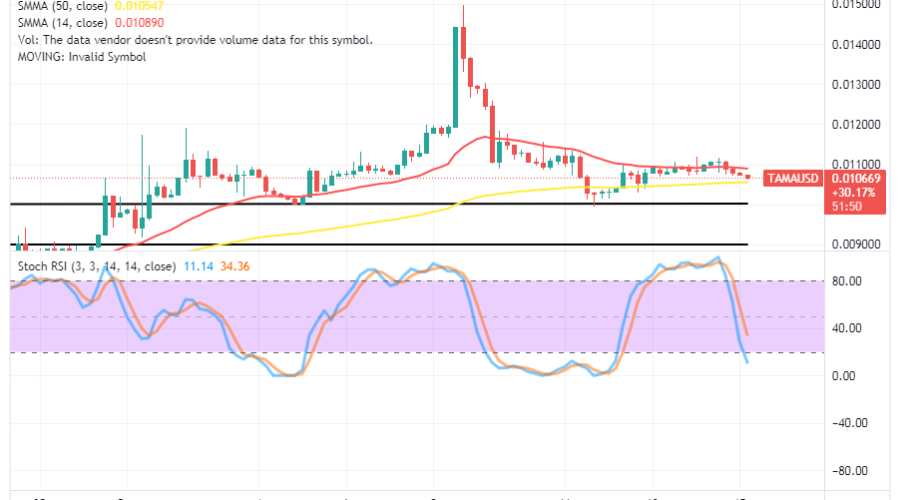 Tamadoge (TAMA/USD) Trade Turns Lowly, Setting for Hikes