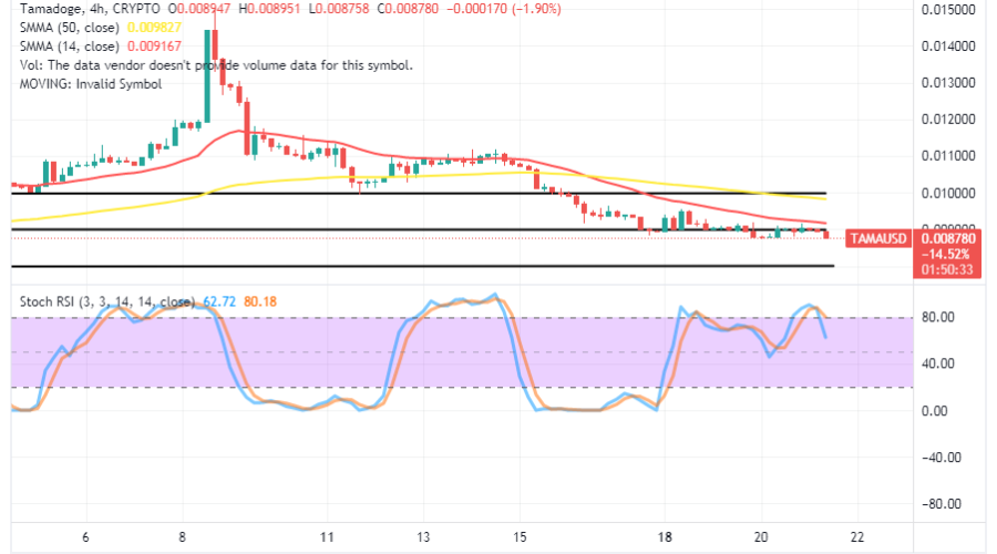 Tamadoge (TAMA/USD) Trade Is Shifting, Searching for Bounce-Offs