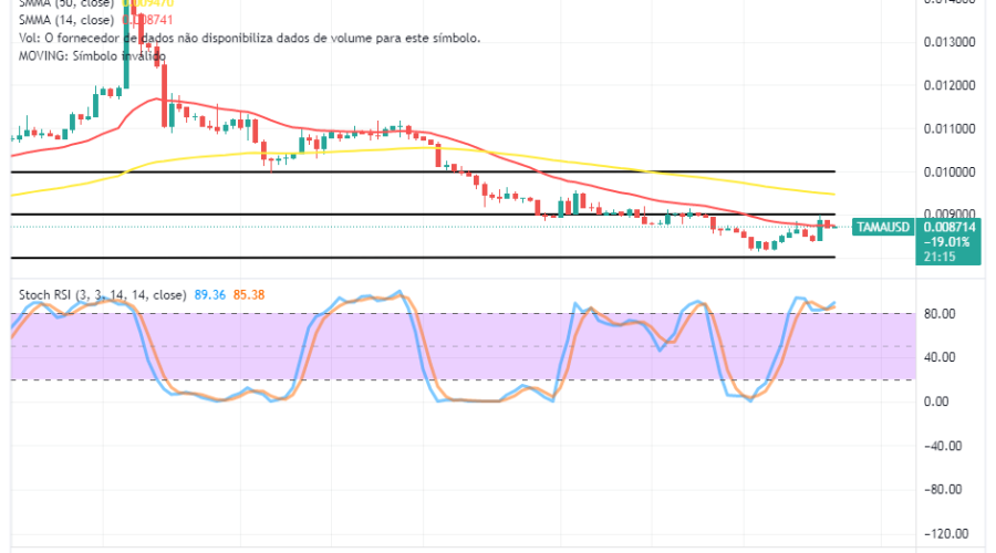 Tamadoge (TAMA/USD) Trade Compresses Energy, Rooting for Hikes