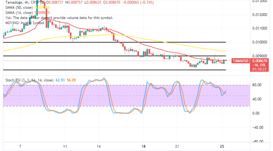 Tamadoge (TAMA/USD) Prices Are Ranging, Rallying for Weights