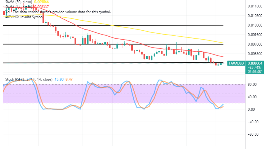 Tamadoge (TAMA/USD) Trade Moves Down, Tiding From a Base