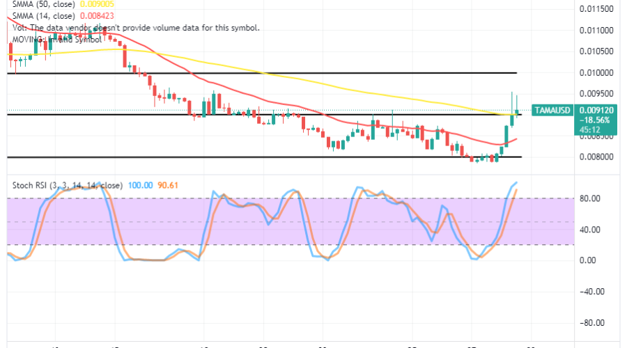 Tamadoge (TAMA/USD) Price Bounces, Pushing Via Resistances