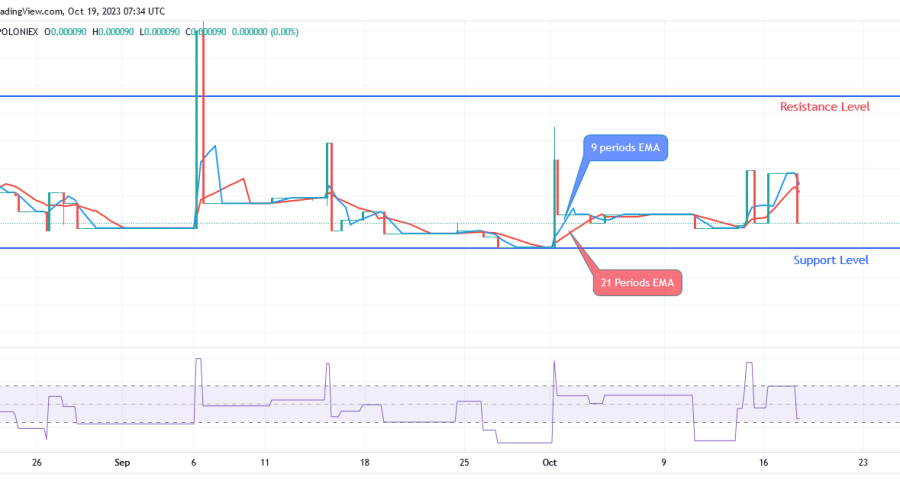 Sponge Price: More Bullish Candles Appear, Price Increases