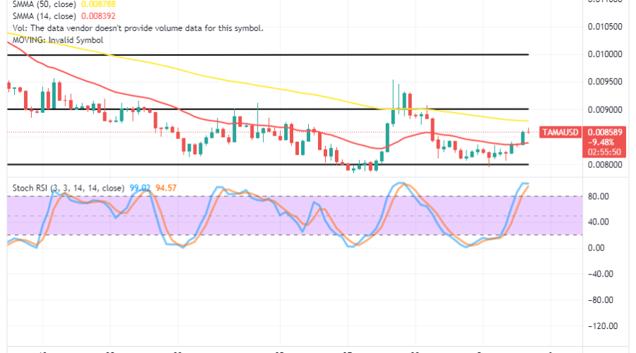 Tamadoge (TAMA/USD) Price Keeps Base at $0.008, Bouncing Upward