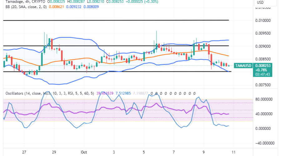 Tamadoge (TAMA/USD) Market Precipitates, Searching for Bounces