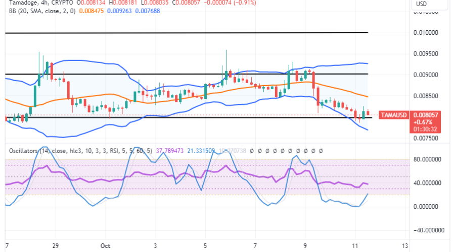 Tamadoge (TAMA/USD) Price Lowers, Possessing Bounce Inputs