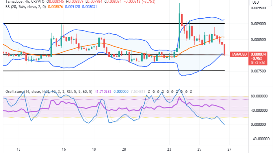 Tamadoge (TAMA/USD) Trade Is Correcting, Tending Hiking