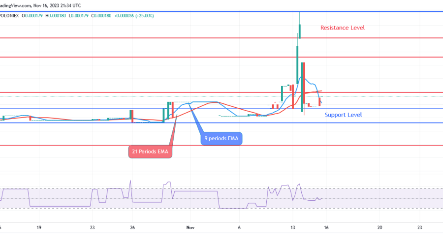 Sponge Market Is Rising Today