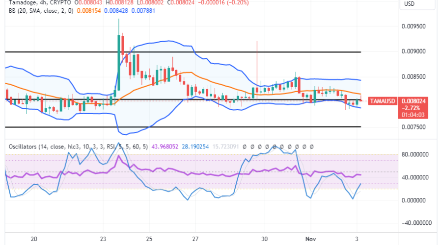 Tamadoge (TAMA/USD) Price Flutters, Conjecturing Bounces