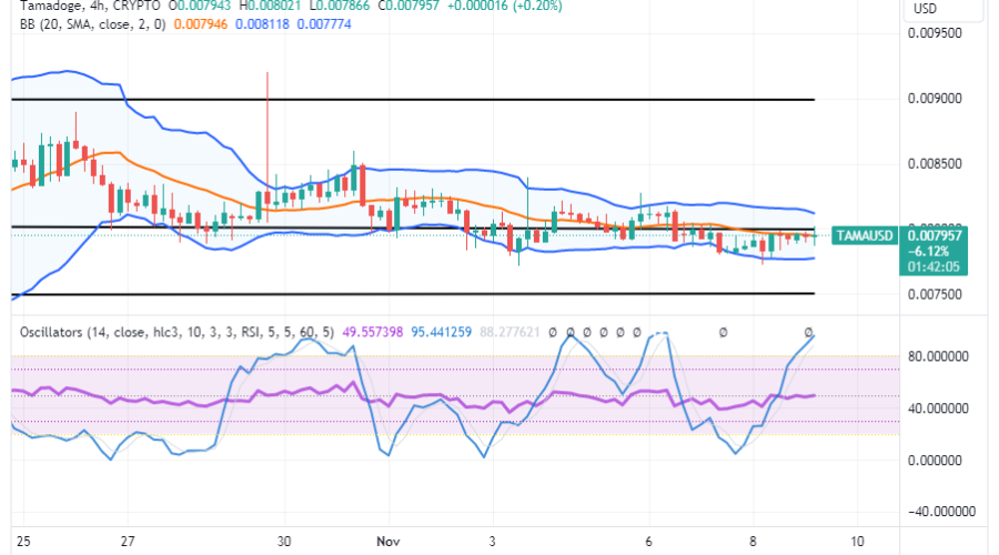 Tamadoge (TAMA/USD) Price Is Ranging, Keeping Bounce Inputs