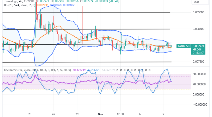 Tamadoge (TAMA/USD) Price Is Ranging, Keeping Bounce Inputs