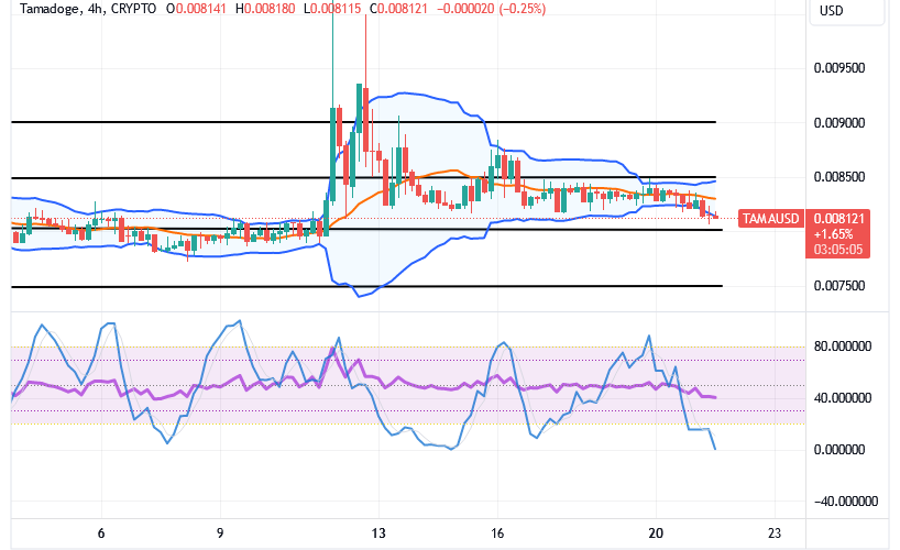 Tamadoge (TAMA/USD) Price Precipitates, Inclining to Bounce