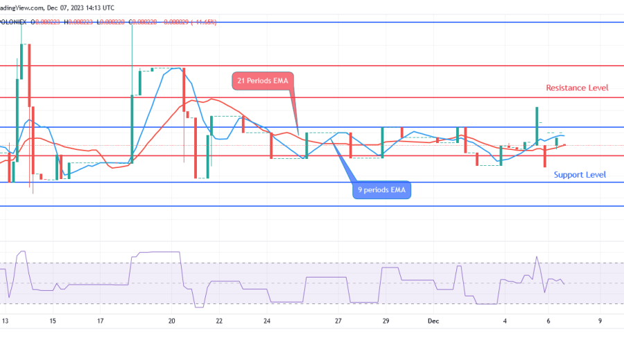 Sponge (SPONGEUSDT) Price: Buyers Rule Sponge Market These Days