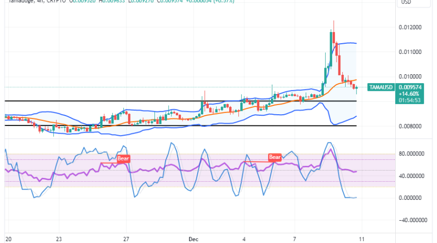 Tamadoge (TAMA/USD) Price Reverses, Keeping a Hike Input