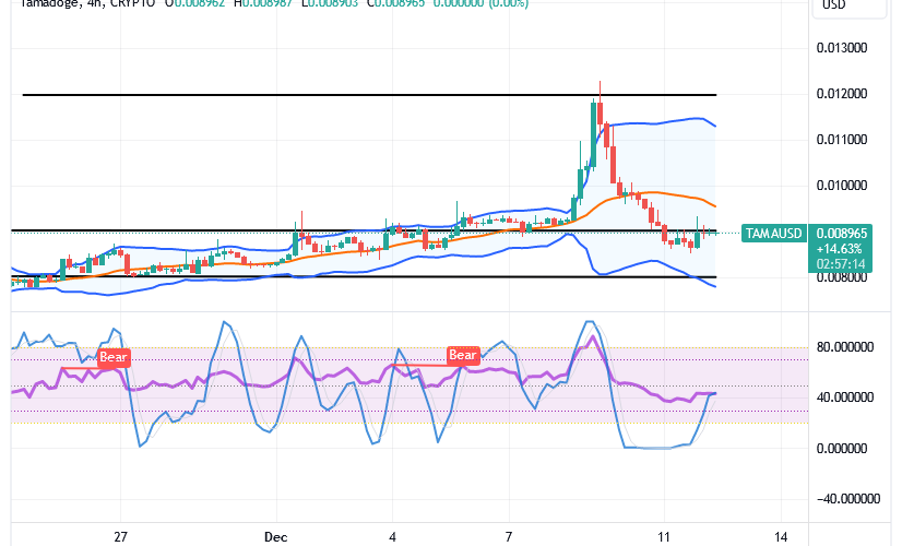 Tamadoge (TAMA/USD) Price Goes Under, Rebuilding a Spike Index
