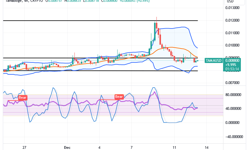 Tamadoge (TAMA/USD) Trade Repositions, Nurturing Bounces Sign