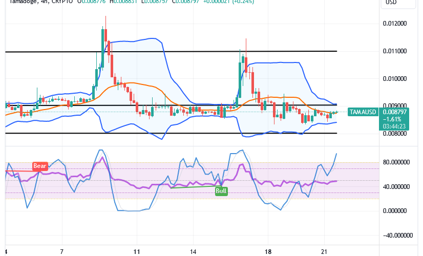 Tamadoge (TAMA/USD) Price Slows Up, Breeding Hike Index