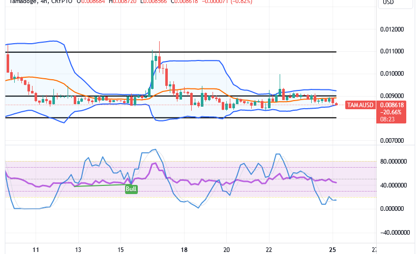 Tamadoge (TAMA/USD) Trade Moves Down, Rebuilding Spike Signs
