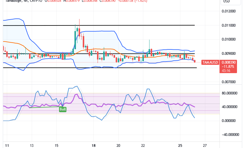 Tamadoge (TAMA/USD) Price Stays Down, Building Up Catalysts