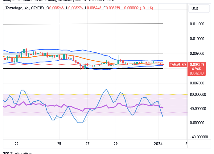 Tamadoge (TAMA/USD) Market Sets Lowly, Keeps Rise Index