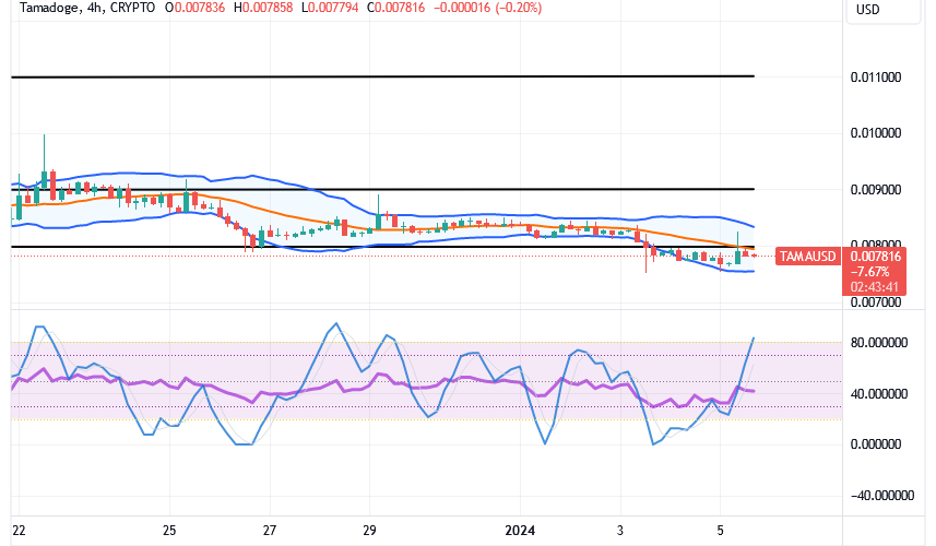 Tamadoge (TAMA/USD) Price Is Lowering, Floating a Hike Signal