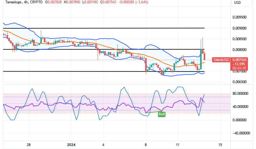 Tamadoge (TAMA/USD) Trade Reverses, Re-Energizing Hike Inputs