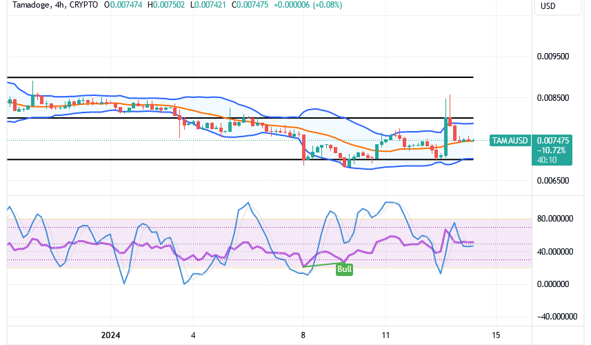 Tamadoge (TAMA/USD) Price Is Down; Mustering Spike Signs