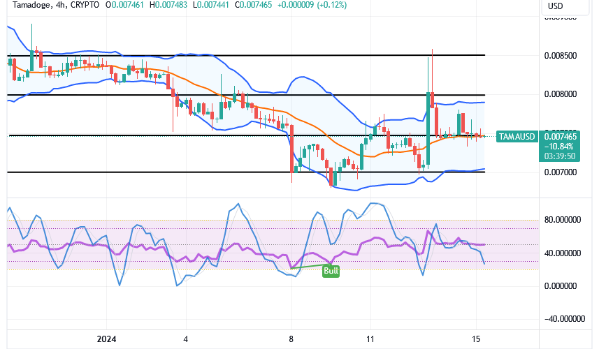 Tamadoge (TAMA/USD) Trade Is Hovering, Attempting an Increase