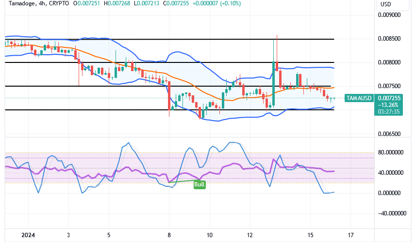 Tamadoge (TAMA/USD) Price Dips, Contemplating a Rise