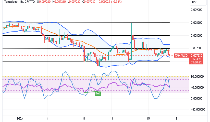 Tamadoge (TAMA/USD) Trade Decreases, Readying for Explosions