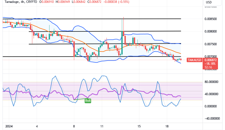 Tamadoge (TAMA/USD) Trade Goes Down, Prepares for a Shoot-up