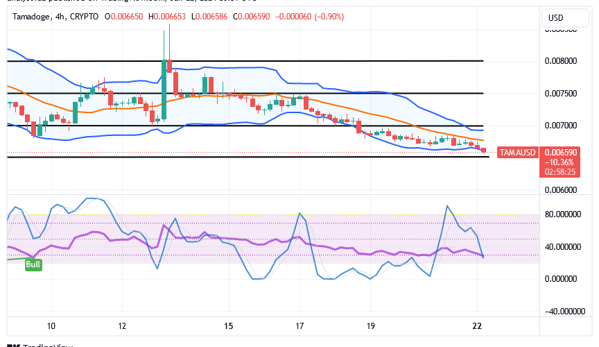 Tamadoge (TAMA/USD) Price Pushes Lowly, Building a Hike Index