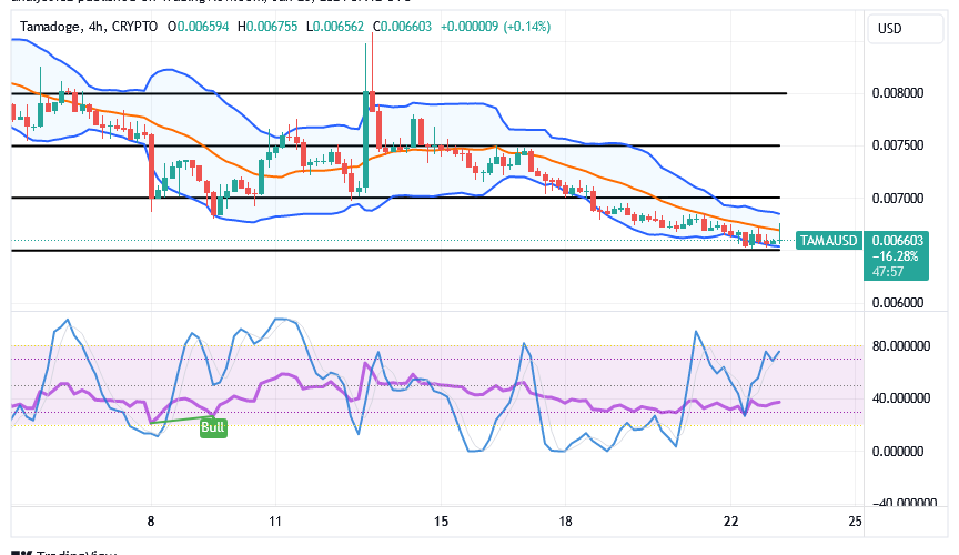 TAMA/USD, Tamadoge, TAMA, Technical Analysis