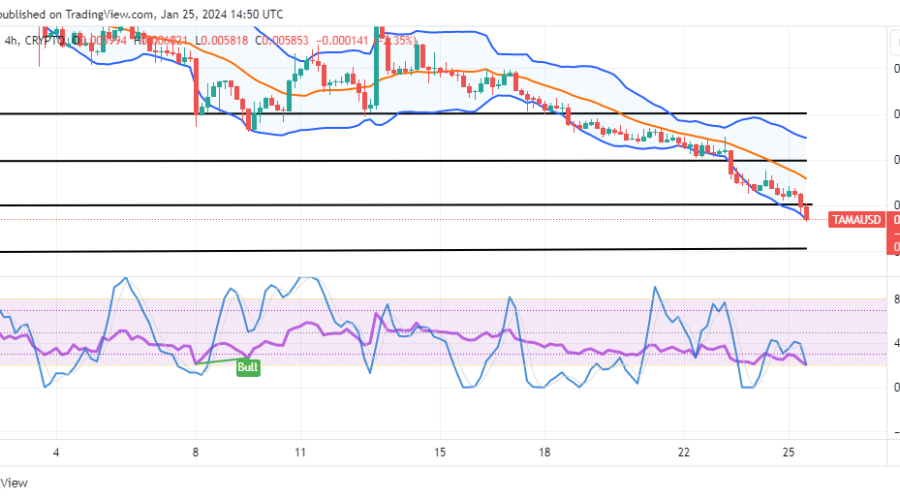 Tamadoge (TAMA/USD) Price Is Devaluing; Holding Buy Windows